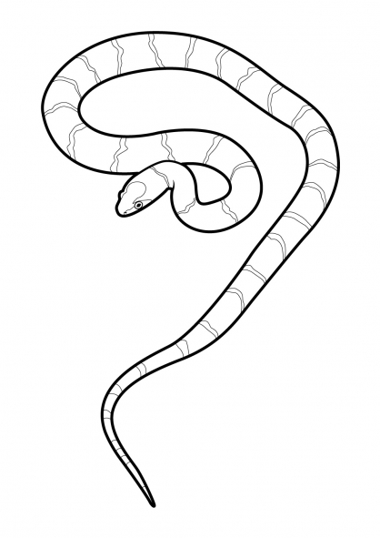 Malvorlage: Schlange (Tiere) #14410 - Kostenlose Malvorlagen zum Ausdrucken