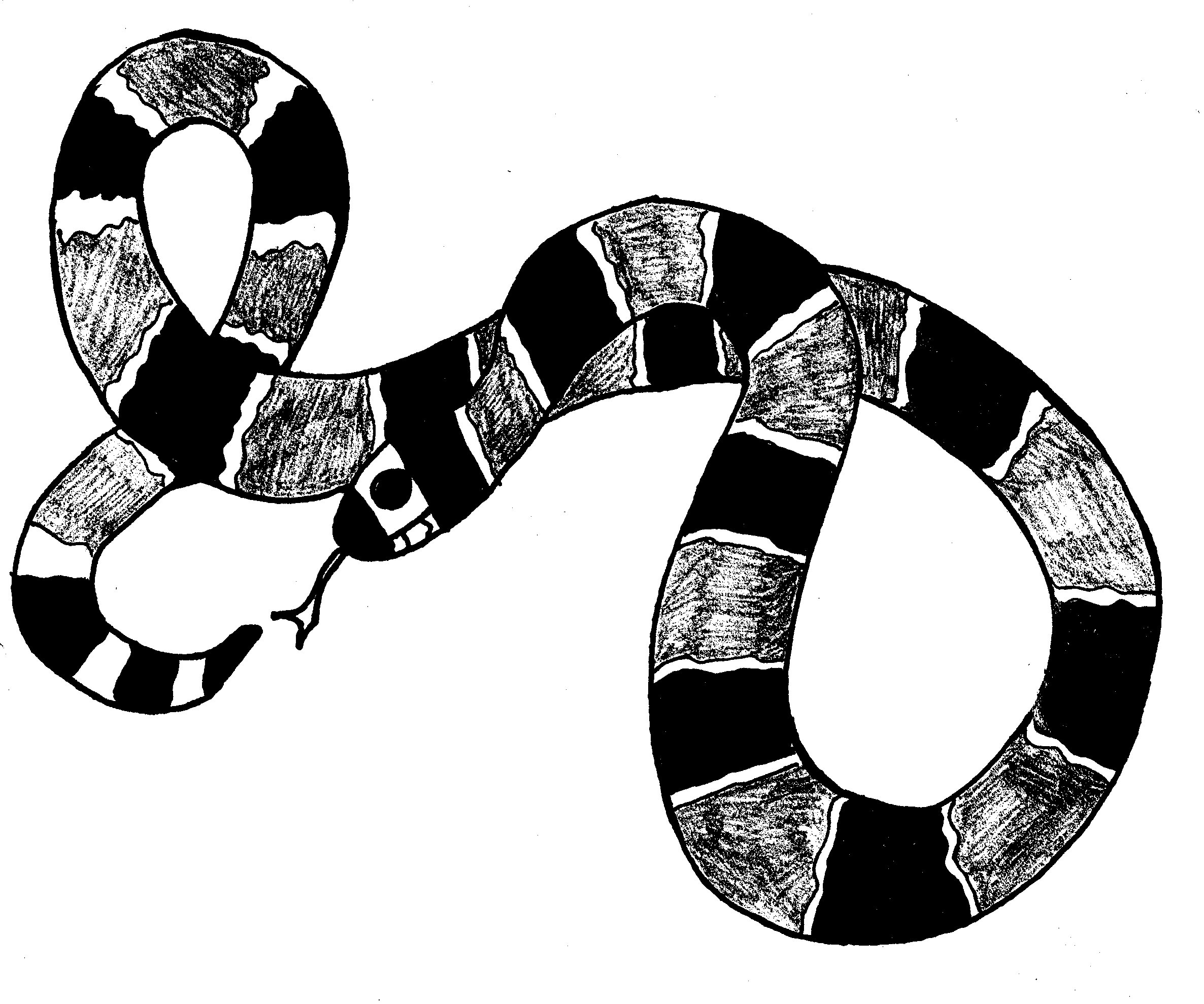Malvorlage: Schlange (Tiere) #14426 - Kostenlose Malvorlagen zum Ausdrucken