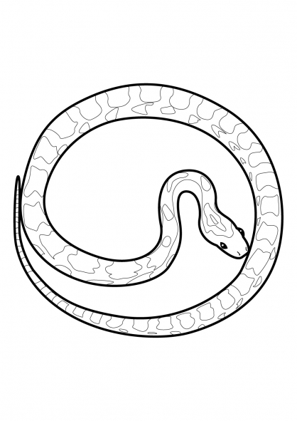 Malvorlage: Schlange (Tiere) #14482 - Kostenlose Malvorlagen zum Ausdrucken