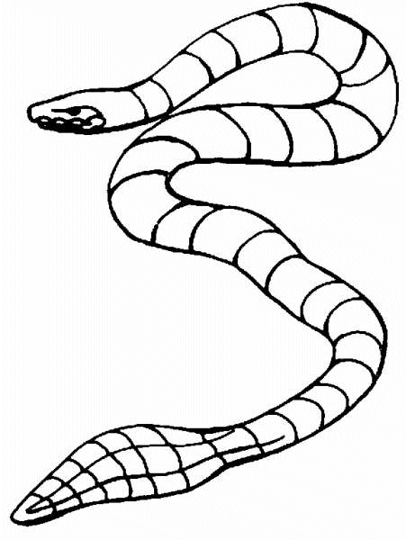Malvorlage: Schlange (Tiere) #14512 - Kostenlose Malvorlagen zum Ausdrucken