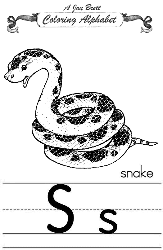 Malvorlage: Schlange (Tiere) #14532 - Kostenlose Malvorlagen zum Ausdrucken