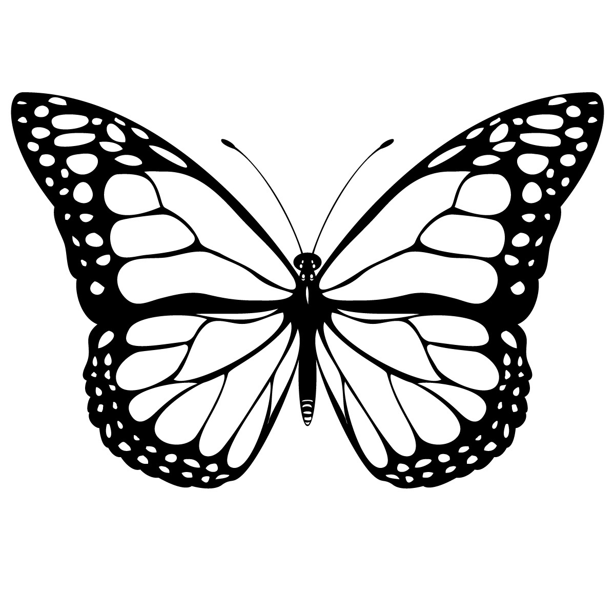 Malvorlage: Schmetterling (Tiere) #15662 - Kostenlose Malvorlagen zum Ausdrucken