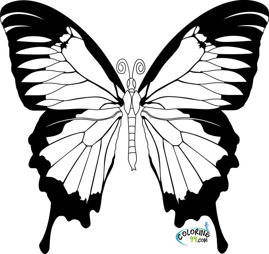 Malvorlage: Schmetterling (Tiere) #15664 - Kostenlose Malvorlagen zum Ausdrucken