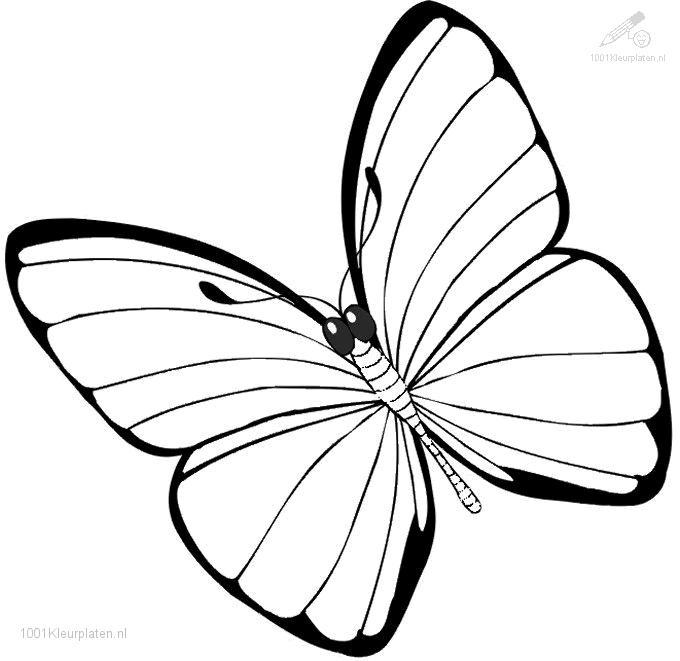 Malvorlage: Schmetterling (Tiere) #15680 - Kostenlose Malvorlagen zum Ausdrucken