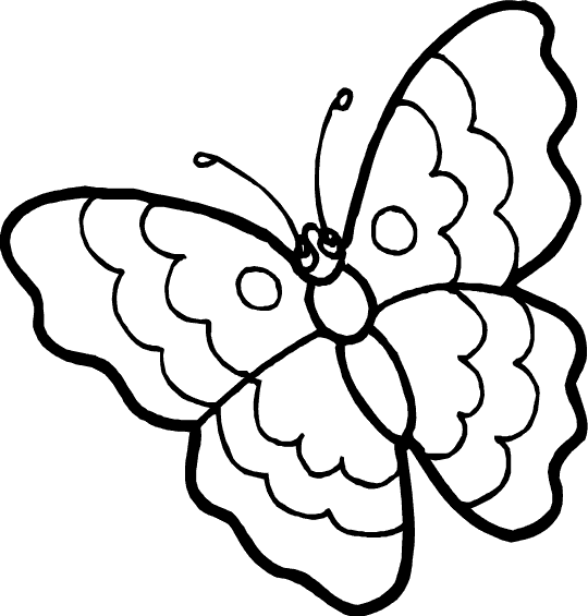 Malvorlage: Schmetterling (Tiere) #15681 - Kostenlose Malvorlagen zum Ausdrucken