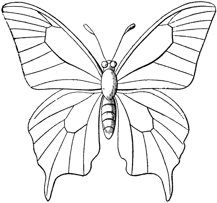 Malvorlage: Schmetterling (Tiere) #15693 - Kostenlose Malvorlagen zum Ausdrucken