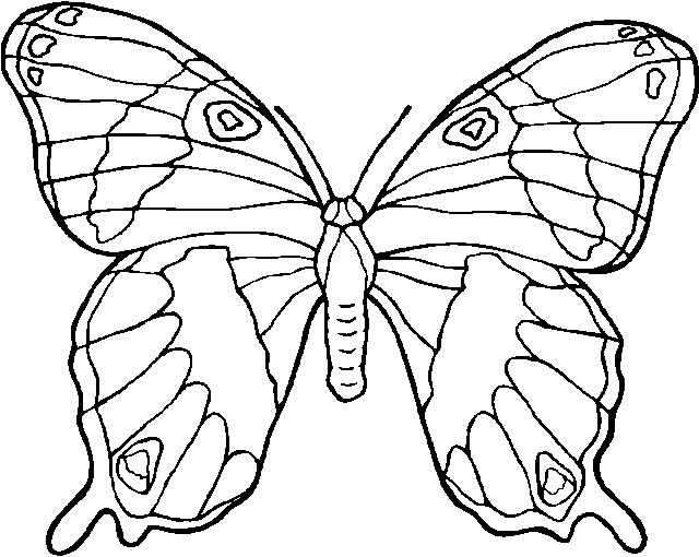 Malvorlage: Schmetterling (Tiere) #15697 - Kostenlose Malvorlagen zum Ausdrucken