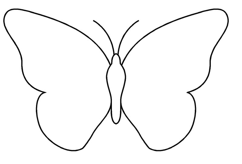 Malvorlage: Schmetterling (Tiere) #15701 - Kostenlose Malvorlagen zum Ausdrucken