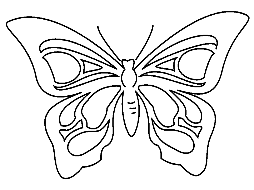 Malvorlage: Schmetterling (Tiere) #15707 - Kostenlose Malvorlagen zum Ausdrucken