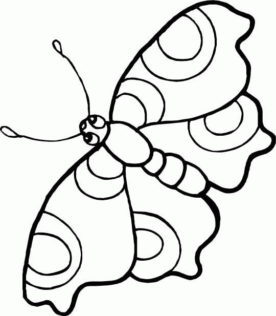 Malvorlage: Schmetterling (Tiere) #15708 - Kostenlose Malvorlagen zum Ausdrucken