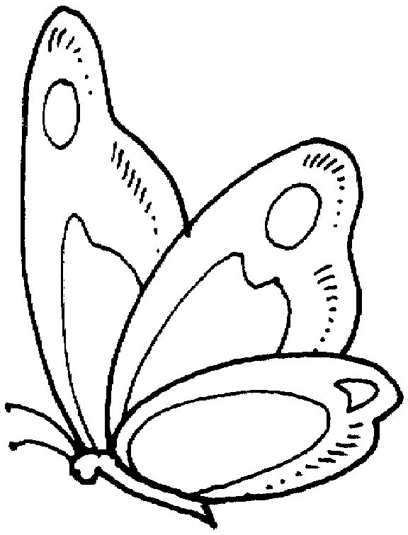 Malvorlage: Schmetterling (Tiere) #15719 - Kostenlose Malvorlagen zum Ausdrucken