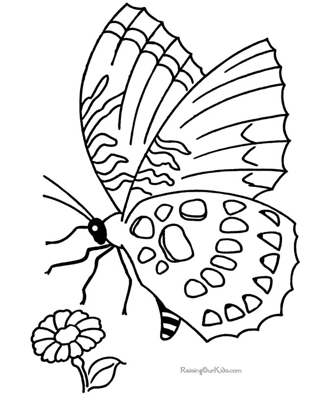 Malvorlage: Schmetterling (Tiere) #15720 - Kostenlose Malvorlagen zum Ausdrucken