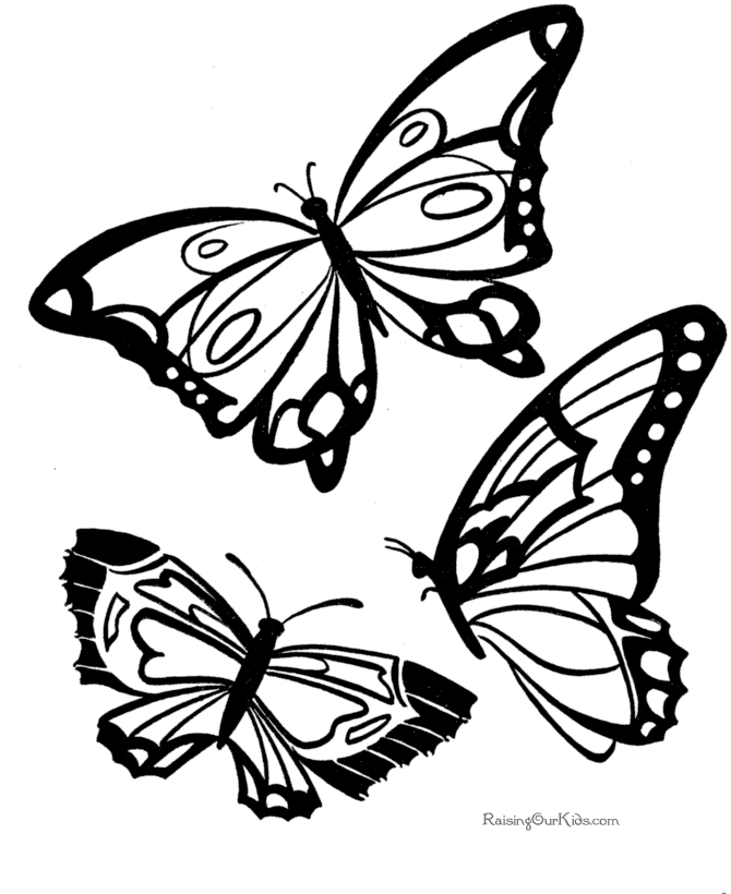 Malvorlage: Schmetterling (Tiere) #15730 - Kostenlose Malvorlagen zum Ausdrucken