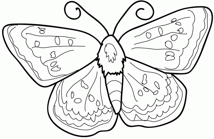 Malvorlage: Schmetterling (Tiere) #15740 - Kostenlose Malvorlagen zum Ausdrucken
