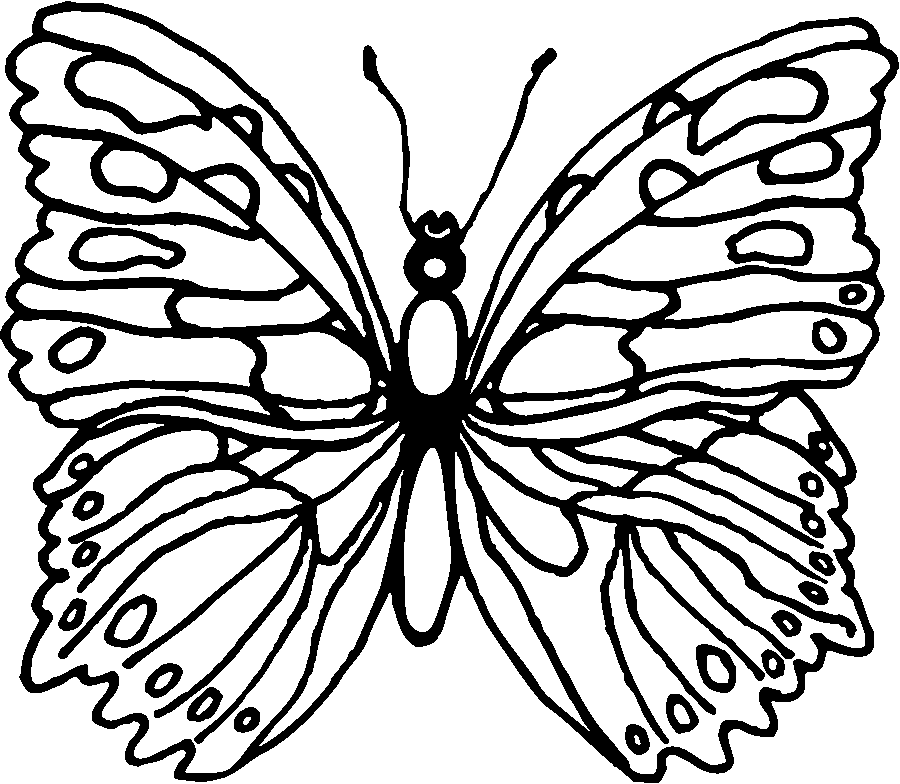 Malvorlage: Schmetterling (Tiere) #15746 - Kostenlose Malvorlagen zum Ausdrucken