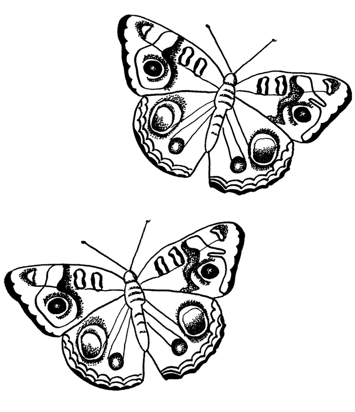 Malvorlage: Schmetterling (Tiere) #15764 - Kostenlose Malvorlagen zum Ausdrucken