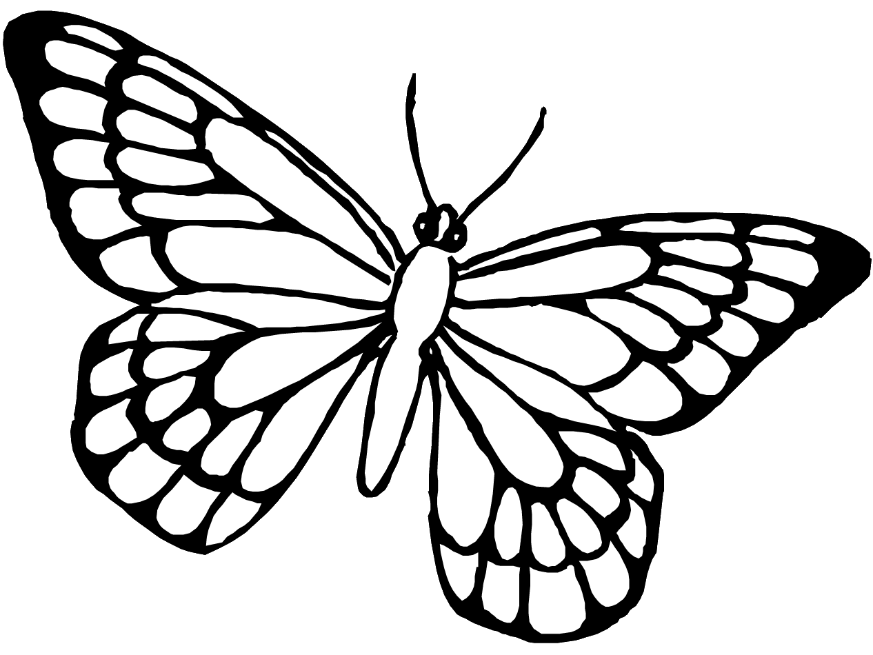 Malvorlage: Schmetterling (Tiere) #15768 - Kostenlose Malvorlagen zum Ausdrucken