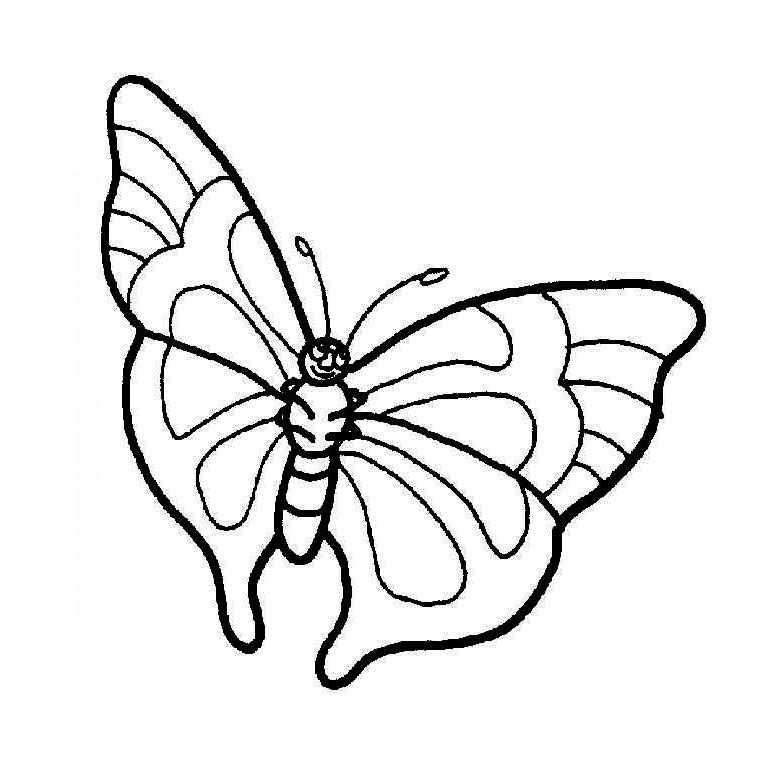 Malvorlage: Schmetterling (Tiere) #15777 - Kostenlose Malvorlagen zum Ausdrucken