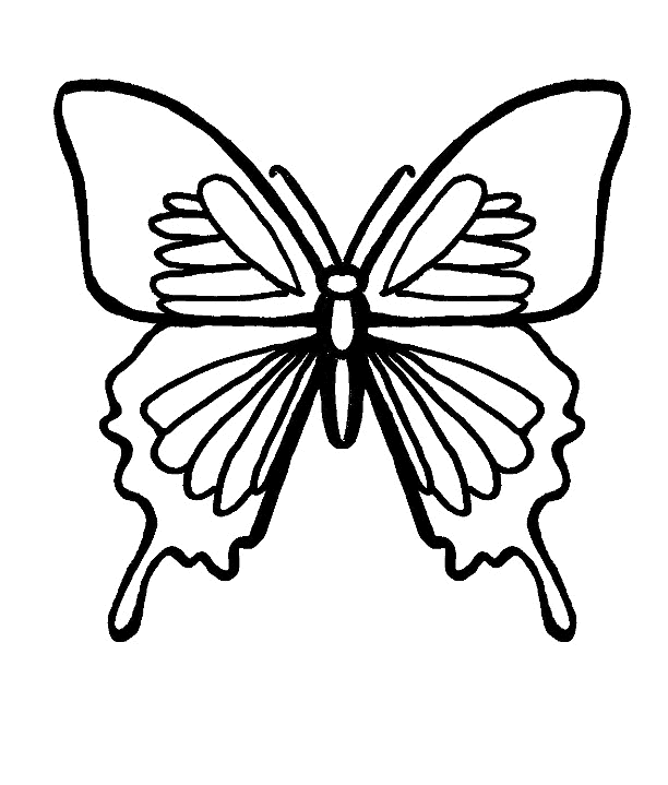 Malvorlage: Schmetterling (Tiere) #15779 - Kostenlose Malvorlagen zum Ausdrucken