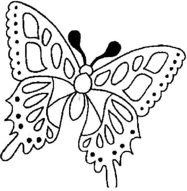 Malvorlage: Schmetterling (Tiere) #15781 - Kostenlose Malvorlagen zum Ausdrucken