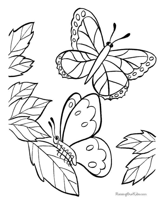 Malvorlage: Schmetterling (Tiere) #15792 - Kostenlose Malvorlagen zum Ausdrucken