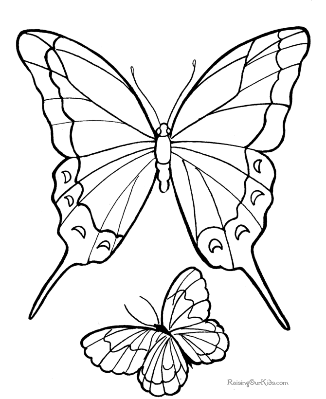 Malvorlage: Schmetterling (Tiere) #15797 - Kostenlose Malvorlagen zum Ausdrucken