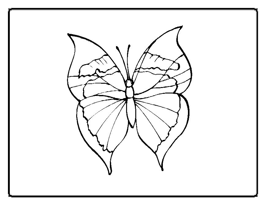 Malvorlage: Schmetterling (Tiere) #15822 - Kostenlose Malvorlagen zum Ausdrucken