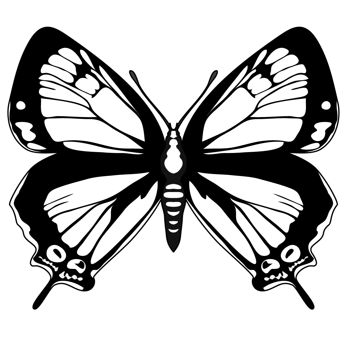 Malvorlage: Schmetterling (Tiere) #15827 - Kostenlose Malvorlagen zum Ausdrucken