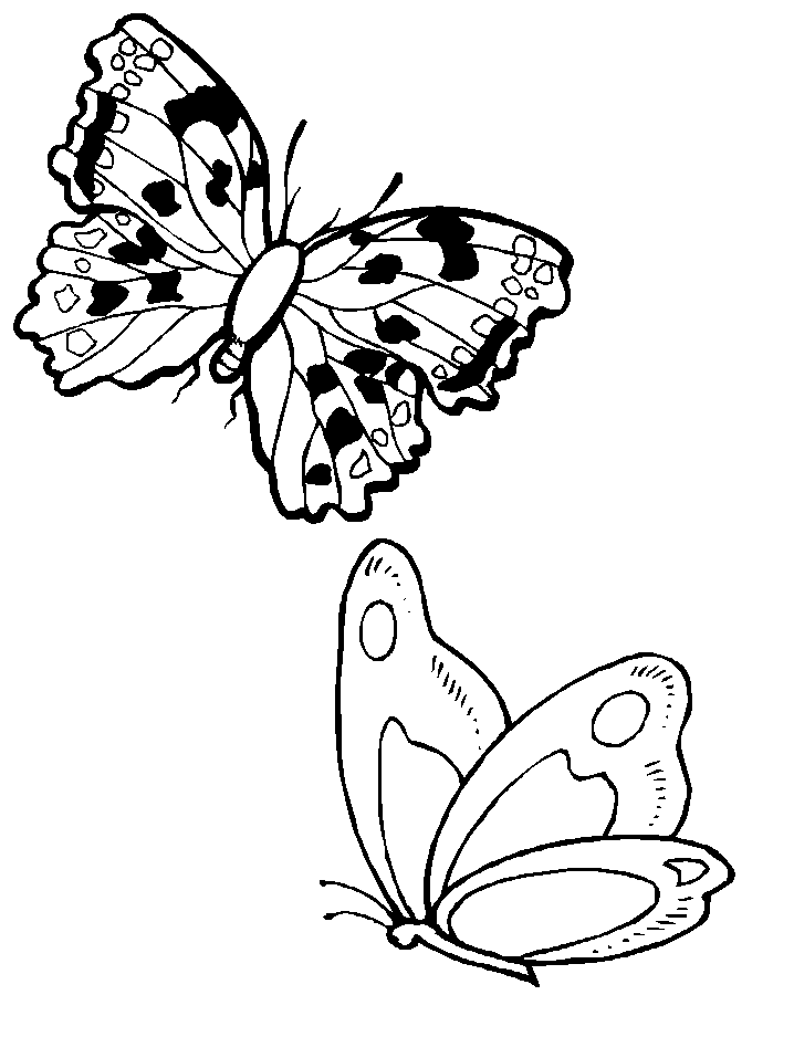Malvorlage: Schmetterling (Tiere) #15828 - Kostenlose Malvorlagen zum Ausdrucken