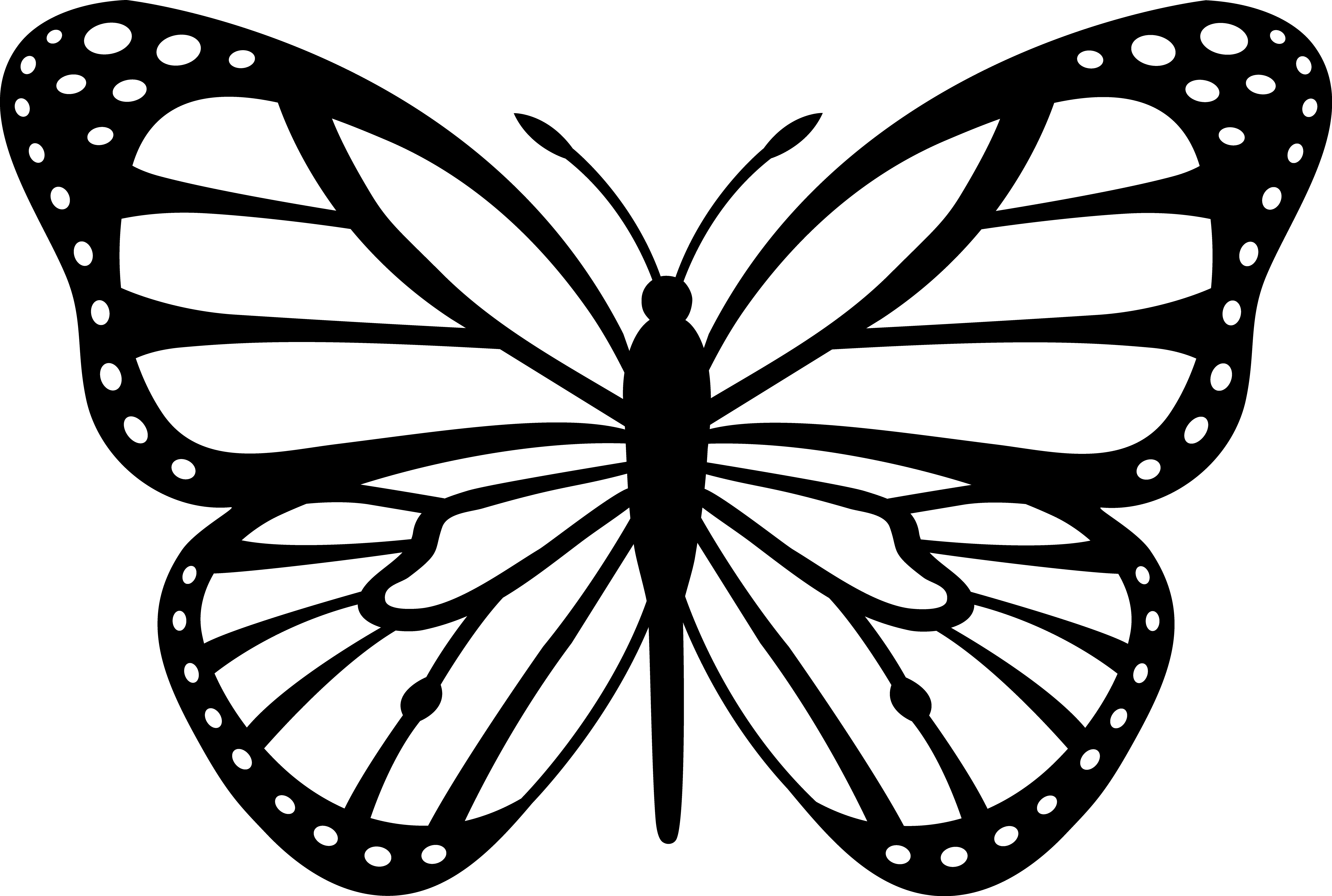 Malvorlage: Schmetterling (Tiere) #15834 - Kostenlose Malvorlagen zum Ausdrucken