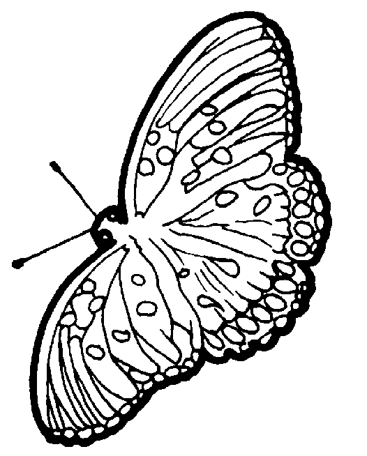 Malvorlage: Schmetterling (Tiere) #15837 - Kostenlose Malvorlagen zum Ausdrucken