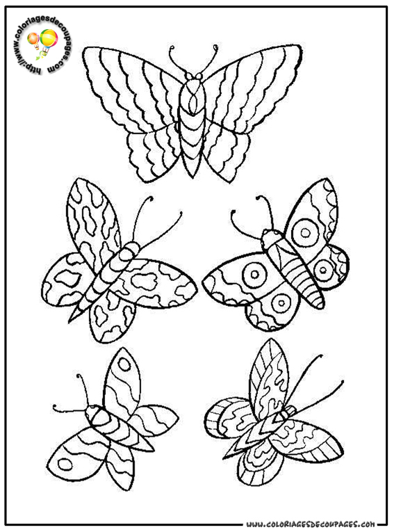 Malvorlage: Schmetterling (Tiere) #15845 - Kostenlose Malvorlagen zum Ausdrucken