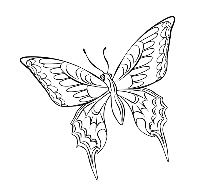 Malvorlage: Schmetterling (Tiere) #15846 - Kostenlose Malvorlagen zum Ausdrucken