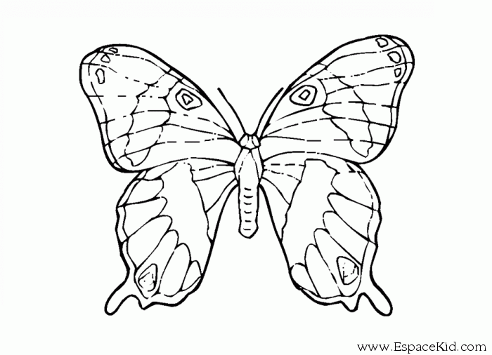 Malvorlage: Schmetterling (Tiere) #15857 - Kostenlose Malvorlagen zum Ausdrucken