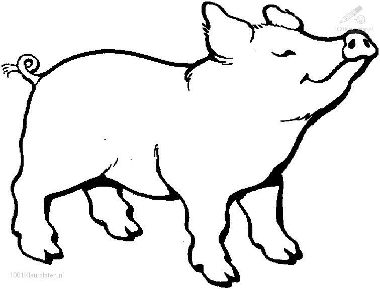 Malvorlage: Schwein (Tiere) #3588 - Kostenlose Malvorlagen zum Ausdrucken