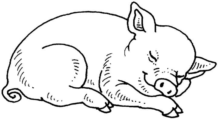 Malvorlage: Schwein (Tiere) #3590 - Kostenlose Malvorlagen zum Ausdrucken