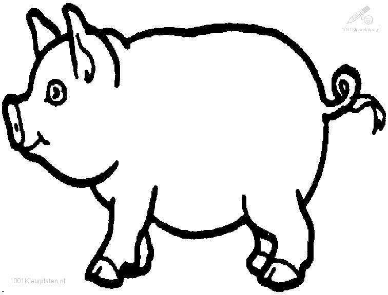 Malvorlage: Schwein (Tiere) #3603 - Kostenlose Malvorlagen zum Ausdrucken