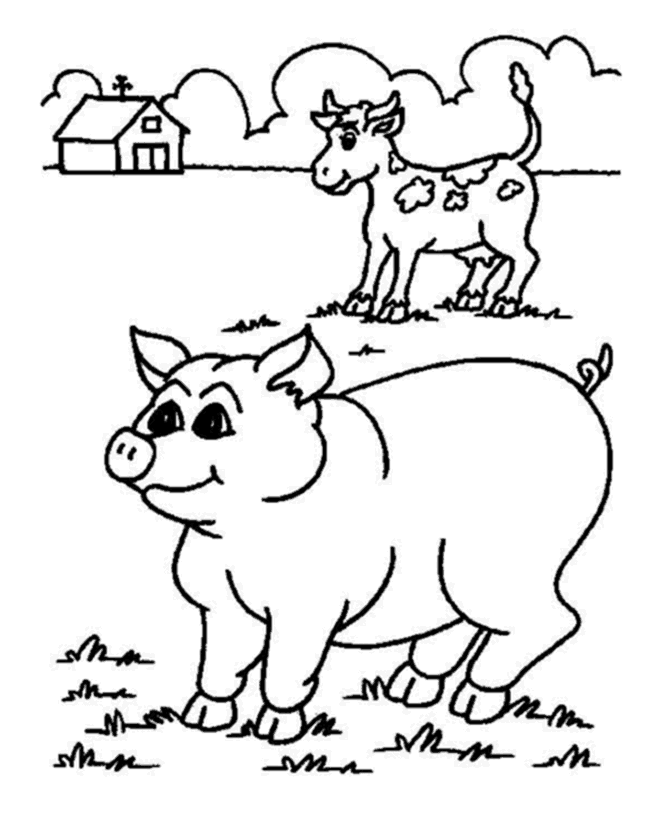 Malvorlage: Schwein (Tiere) #3629 - Kostenlose Malvorlagen zum Ausdrucken