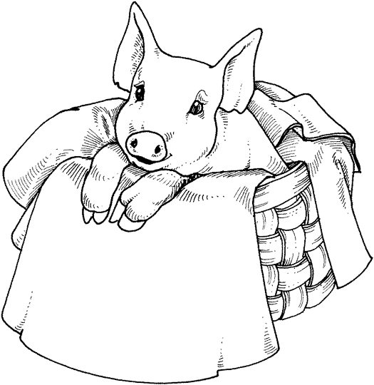 Malvorlage: Schwein (Tiere) #3642 - Kostenlose Malvorlagen zum Ausdrucken