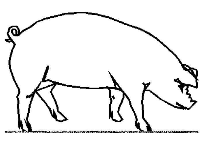 Malvorlage: Schwein (Tiere) #3643 - Kostenlose Malvorlagen zum Ausdrucken