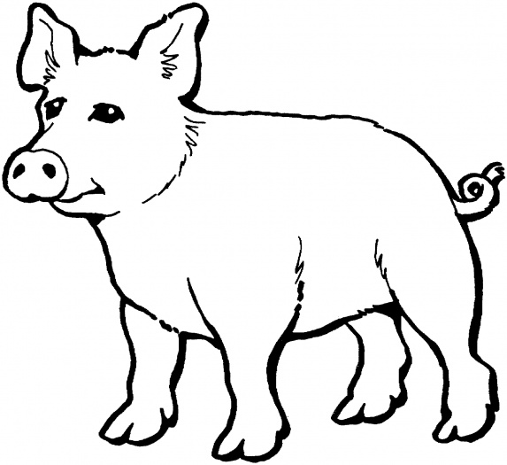 Malvorlage: Schwein (Tiere) #3671 - Kostenlose Malvorlagen zum Ausdrucken