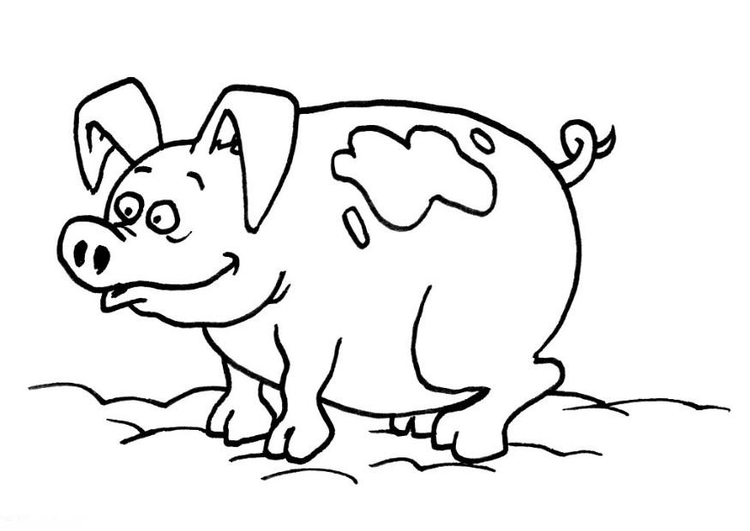 Malvorlage: Schwein (Tiere) #3682 - Kostenlose Malvorlagen zum Ausdrucken