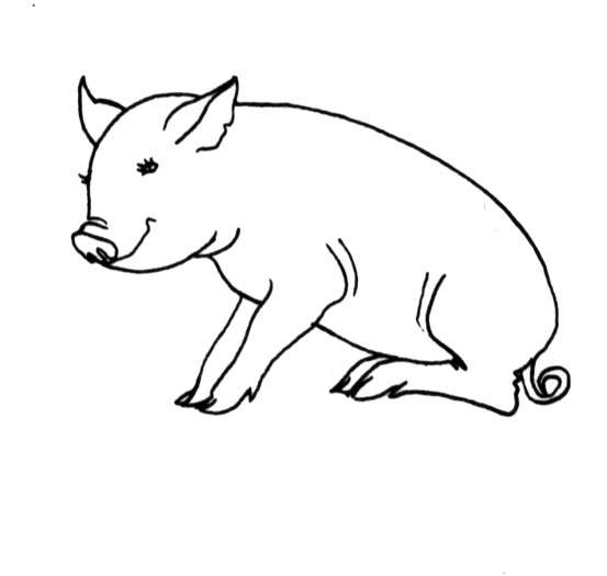 Malvorlage: Schwein (Tiere) #3744 - Kostenlose Malvorlagen zum Ausdrucken