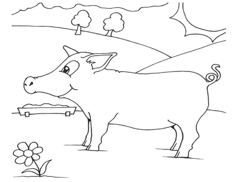 Malvorlage: Schweinefleisch (Tiere) #17638 - Kostenlose Malvorlagen zum Ausdrucken