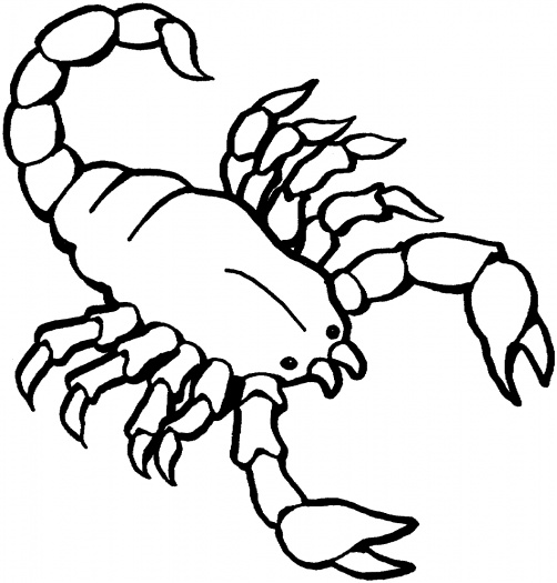 Malvorlage: Skorpion (Tiere) #14549 - Kostenlose Malvorlagen zum Ausdrucken