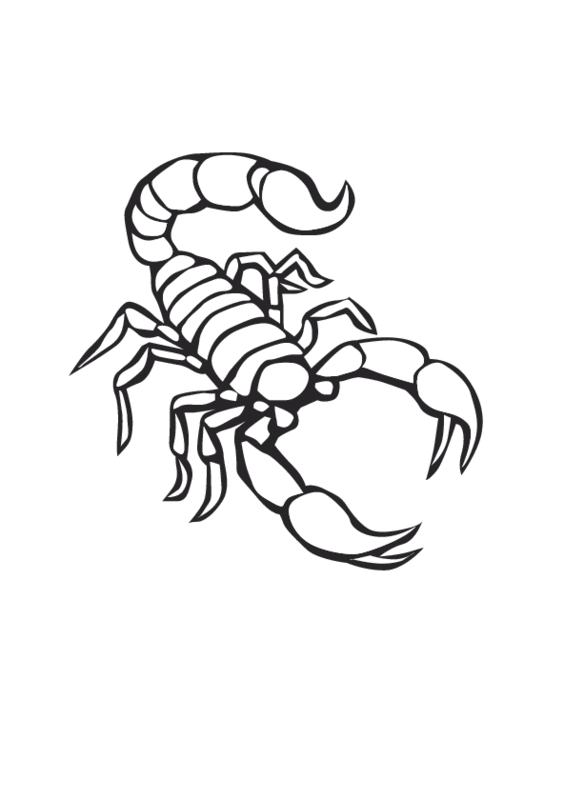 Malvorlage: Skorpion (Tiere) #14552 - Kostenlose Malvorlagen zum Ausdrucken