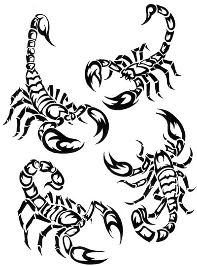 Malvorlage: Skorpion (Tiere) #14609 - Kostenlose Malvorlagen zum Ausdrucken