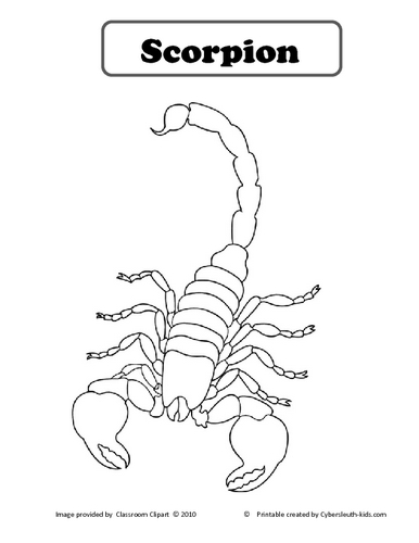Malvorlage: Skorpion (Tiere) #14610 - Kostenlose Malvorlagen zum Ausdrucken