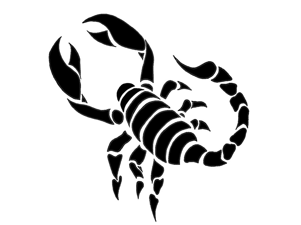 Malvorlage: Skorpion (Tiere) #14615 - Kostenlose Malvorlagen zum Ausdrucken