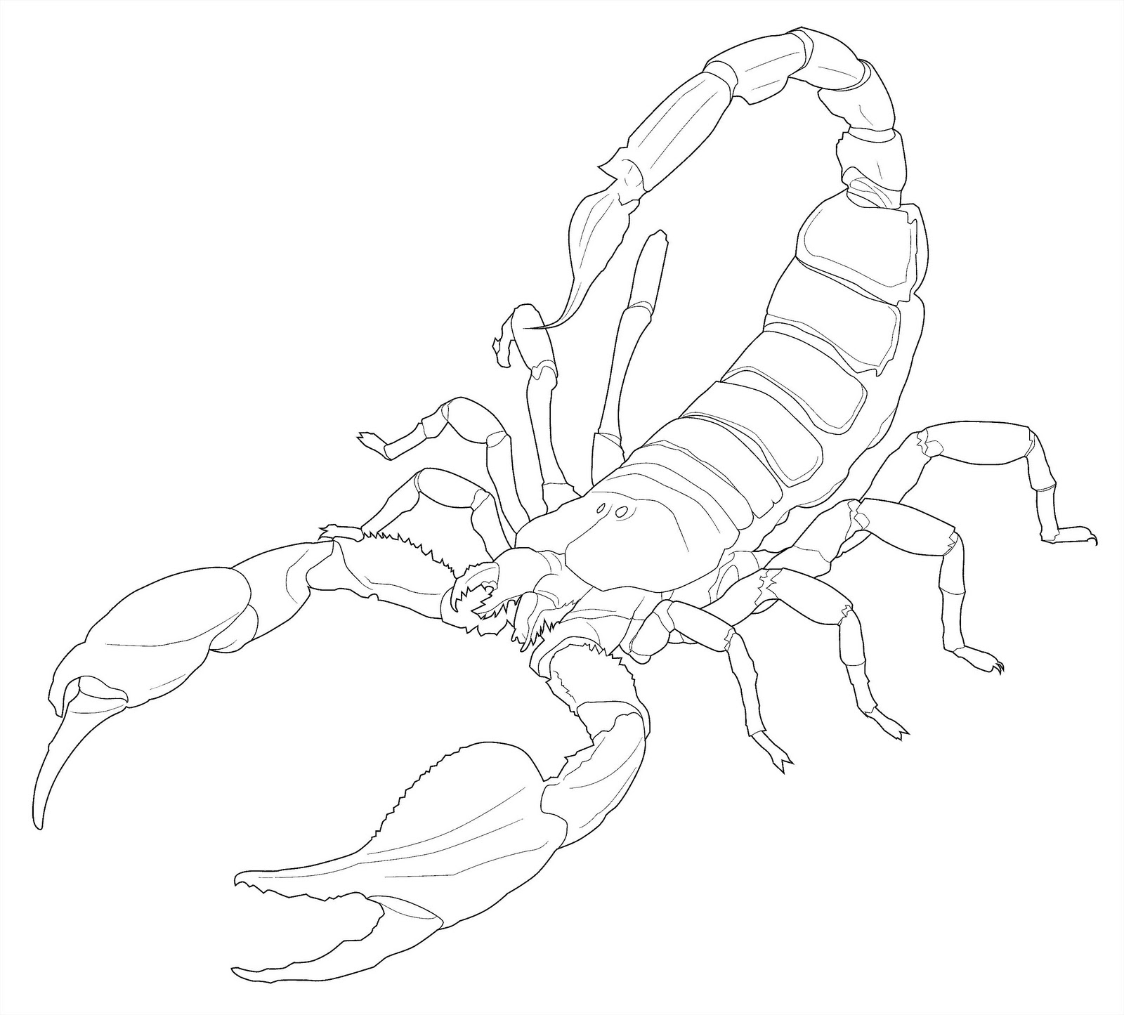 Malvorlage: Skorpion (Tiere) #14624 - Kostenlose Malvorlagen zum Ausdrucken